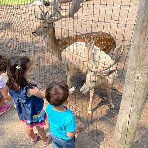 Meet your Posher, Maya